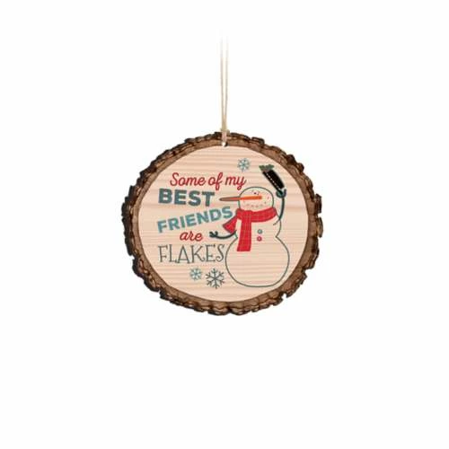 Best reviews of ⭐ P. Graham Dunn Ornaments & Stockings P Graham Dunn Ornament Best Friends 😉